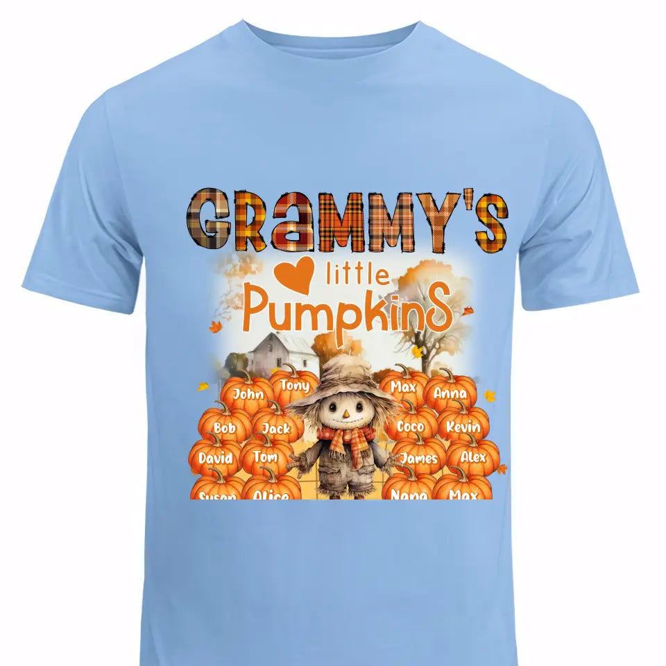 Personalized Fall Season Pumpkin Grammy's Little Pumpkins Dummy & Kid Names T-Shirt Printed