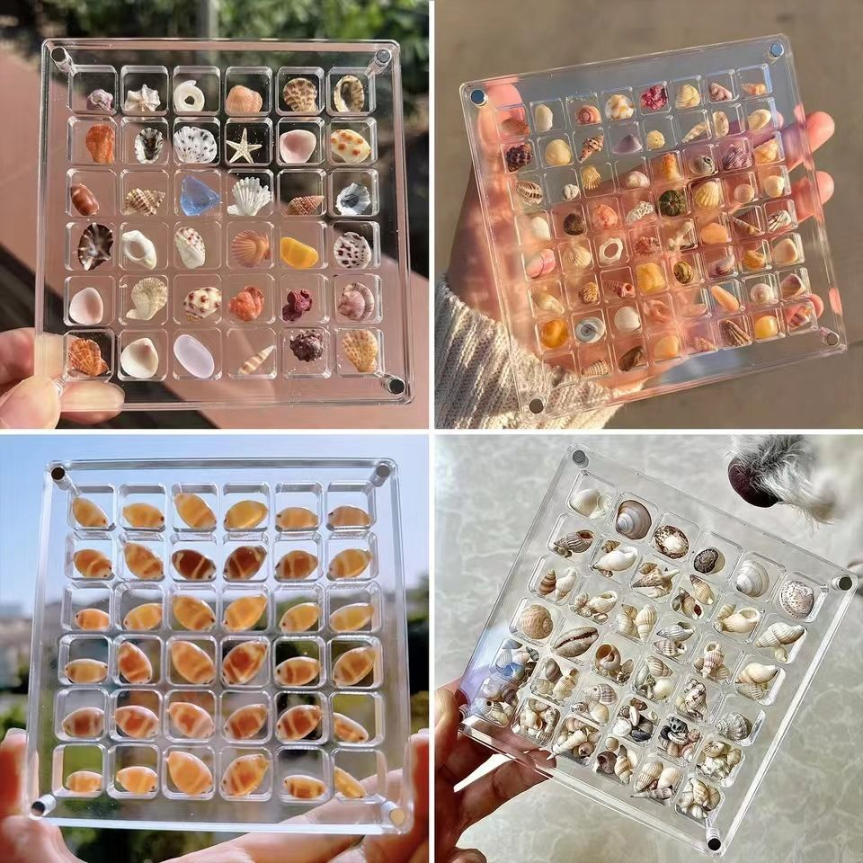 Acrylic Transparent Magnetic Collection Box - Seashell Storage Case