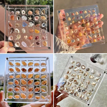 Acrylic Transparent Magnetic Collection Box - Seashell Storage Case